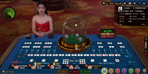 live casino