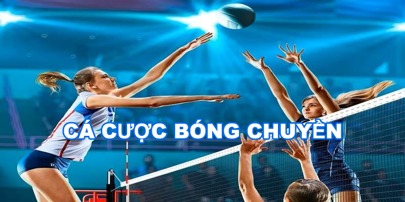 Cá cược bóng chuyền Jun88 - Thiên đường cho tín đồ đam mê trái bóng tròn